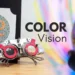 What Is Color Vision and Why Is It So Special