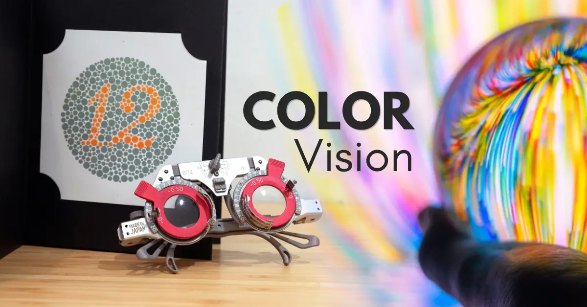 What Is Color Vision and Why Is It So Special?